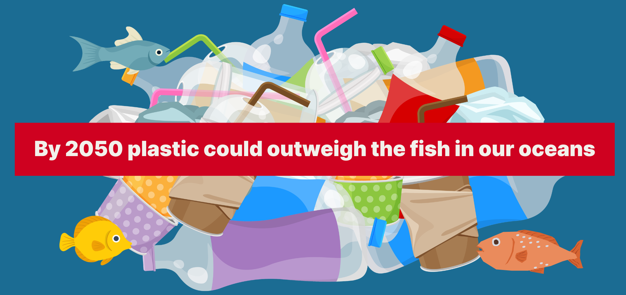 Support Our Plastic Bill in the NSW Parliament Main Image
